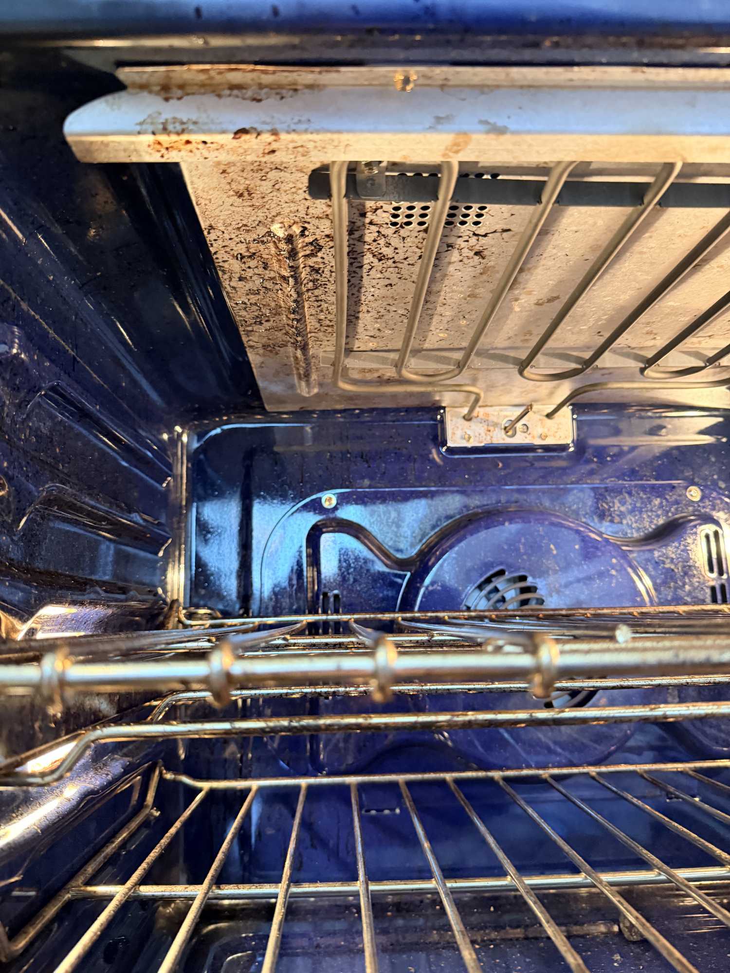 appliance oven repair barrie close up inside blue applianceforever ca